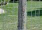 Ανθεκτικό 30m συγκολλημένο σύρμα φράχτη ρολό υποστήριξη για τα φυτά