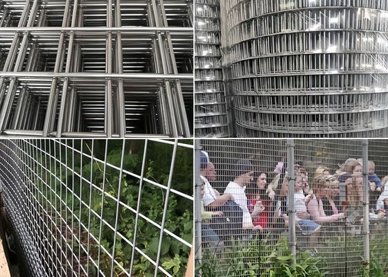 Υψηλής αντοχής στη διάβρωση συγκολλημένα ρολά ιστών ανθεκτικών ποικίλων χρωμάτων